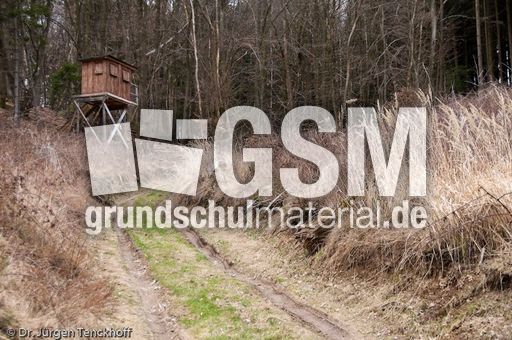 Hochstände (138 von 154).jpg